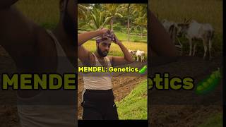 Mendel The legend💪 KhushiMishra11 shorts neetexam shivamrajaiims biology funny [upl. by Nodnal]