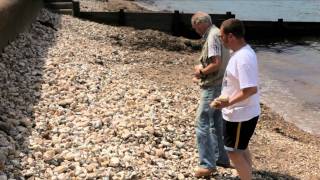 Simons Wight Isle of Wight Fossil Hunting Pt 1 [upl. by Adihaj741]