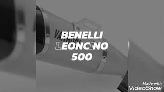 Benelli leoncino 500 sound compilation Exhaust Akrapovic Sc project Leo vince Yoshimura [upl. by Emoreg]