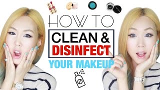 How To Clean and Disinfect Your Makeup 화장품 세척 관리법 [upl. by Nodnelg]