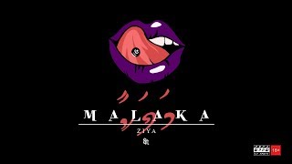 Ziya  MALAKA Official Video [upl. by Adnilym]