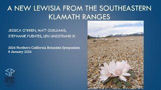 A new Lewisia from the southeastern Klamath Ranges by Jessica OBrien [upl. by Immanuel]