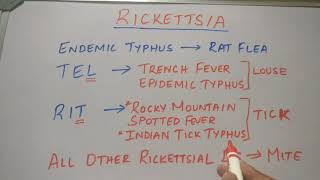 MEDICAL MNEMONIC POCKET RICKETTSIA [upl. by Hunger]