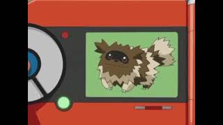 Zigzagoon Pokedex Entry [upl. by Nauquf]