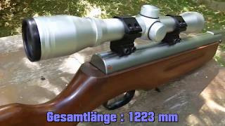 Luftgewehr WEIHRAUCH HW 35 und Hämmerli Hunter Force 750 Combo Test [upl. by Nohsauq958]