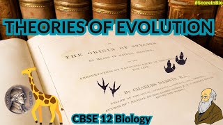 Theories of Evolution in CBSE 12 Biology  Lamarck Darwin Natural Selection [upl. by Chenee]