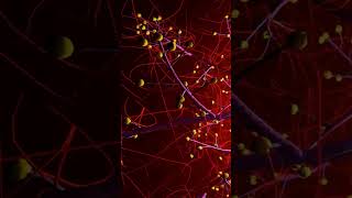 BioflutiAZ Nasal Spray View Uses Side EffectsPriceandfluticasone askpharmacist medicanenasa [upl. by Perot]