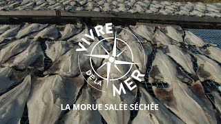 Vivre de la mer La morue salée séchée [upl. by Hajile]