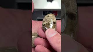 Polishing Petoskey Stones [upl. by Jarrell76]