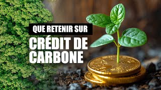 Crédits Carbone  Comment Fonctionne la Compensation des Émissions de CO2  🌍💡 [upl. by Bussey]