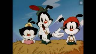 Schnitzelbank Animaniacs CC [upl. by Hereld]