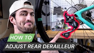 Rear Derailleur Adjustment amp Indexing  The Secret To Perfect Bike Gear Shifting [upl. by Opiak427]