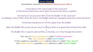 Bladder disorders Neurogenic Atonic Automatic bladder Chapter 26 part 6 Guyton and Hall Physiology [upl. by Cired566]