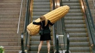 Funniest Escalator Fails February 2013 [upl. by Punke557]