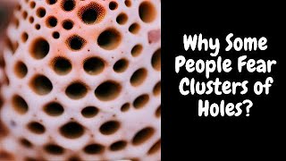 Why some people fear clusters of holes  Psychology behind trypophobia [upl. by Jeromy]