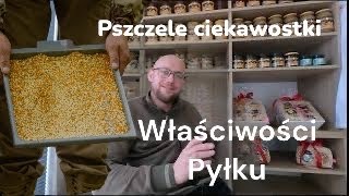 Właściwości Pyłku Pszczelego [upl. by Dihahs]