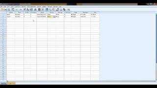 Entering data into SPSS [upl. by Juna]