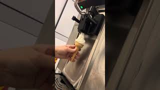 Carpigiani 161 ice cream machine on test with fresh mix [upl. by Irehj]