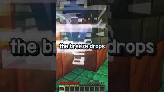 Minecraft 121 quotTricky Trialsquot  Whats in it [upl. by Atiuqes]