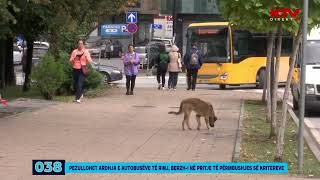 Pezullohet ardhja e autobusëve të rinj BERZHi në pritje të përmbushjes së kritereve  038 [upl. by Borchert]