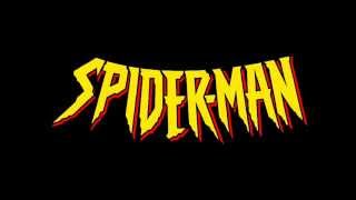 SpiderMan the Animated Series 1994  Theme song  Lyrics [upl. by Kilroy]