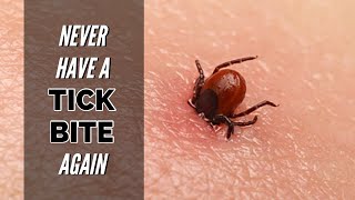 KILL Ticks and Prevent Lyme Disease [upl. by Body6]