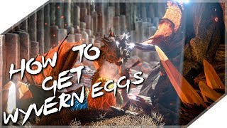 HOW TO GET WYVERN EGGS ON RAGNAROK MAP  ARK Survival Evolved RAGNAROK DLC [upl. by Annasus]