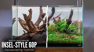 Aquascaping Tutorial 60cm InselStyle Aquarium Komplette Einrichtung [upl. by Sorips]