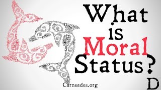 What is Moral Status Philosophical Definition [upl. by Belac542]