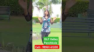 DLF Valley Panchkula Investment Call 9896161200 realproperty dlf Valley Panchkula [upl. by Eal]