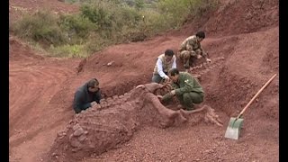 180 mlnyearold dinosaur fossils discovered in SW China [upl. by Tessil671]