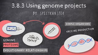 EASY REVISION AQA ALevel Biology 383 Using genome projects [upl. by Ocsinarf]