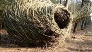 land art  will beckers  bosland 2011  Hechtel Eksel  Belgium [upl. by Imailiv]