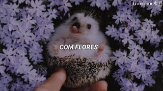 a música mais fofa do tiktok  con flores te llevaste mi tristeza com colores [upl. by Aernda]