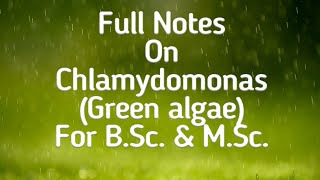 Chlamydomonas Green AlgaeThallus Structure amp Lifecycle for NEET BScamp MSc by Dr AK Sharma [upl. by Scevor]