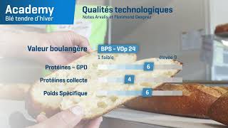 𝗔𝗖𝗔𝗗𝗘𝗠𝗬 🎓 Un Blé Panifiable Supérieur BPS à l’excellent profil maladies [upl. by Ed]