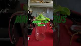 Manual Citrus Juicer [upl. by Gannon]