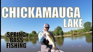 CHICKAMAUGA LAKE Texas Rig for Spring Bass [upl. by Rome]