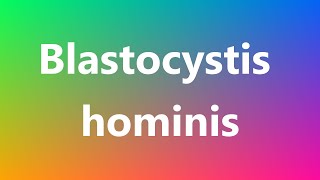 Blastocystis hominis  Medical Definition and Pronunciation [upl. by Whitebook]