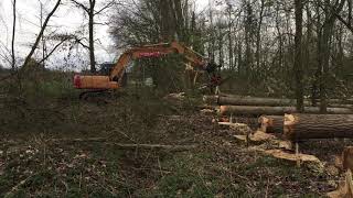 bomen kappen door bos ontginning van engelen [upl. by Esteban]