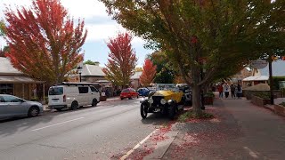 Walking Adelaide Hills  Hahndorf in Early Autumn [upl. by Glimp46]