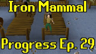 Oldschool Runescape  2007 Iron Man Progress Ep 29  Iron Mammal [upl. by Jemmie]