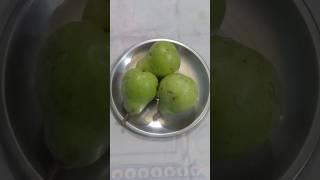 food fruit healthy fruit nashpati🍐🍐🍐 [upl. by Missie]