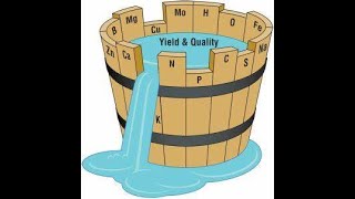 Soil Science  Liebigs Law of the Minimum  Dr Khurram Shahzad [upl. by Maclean151]