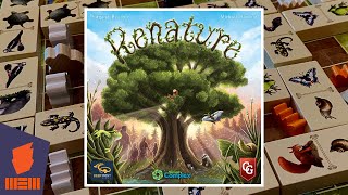 Renature — Fun amp Board Games w WEM [upl. by Hyland]