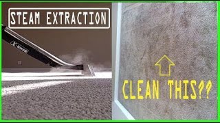 STEAM CLEANING DIRTY CARPETS carpetcleaning carpetextraction satisfying oddlysatisfying hwe [upl. by Nohsav285]