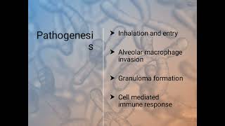 Mycobacterium kansasii [upl. by Eikkin]