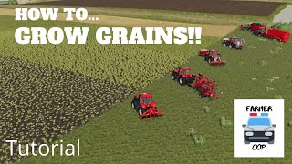 How To Grow Wheat Barley Oats Canola and Soybeans in Farming Simulator 19 [upl. by Gaspar]