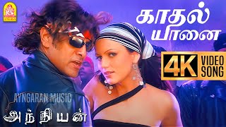 Kadhal Yaanai  4K Video Song  காதல் யானை  Anniyan  Vikram  Shankar  Harris Jayaraj  Ayngaran [upl. by Purvis]