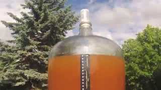 Cover Carrier for Carboy during fermenting home brew beer [upl. by Alvy872]